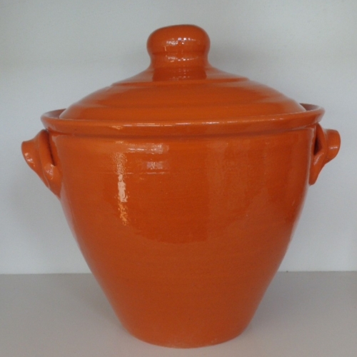 Cooking Pot (L-F1)